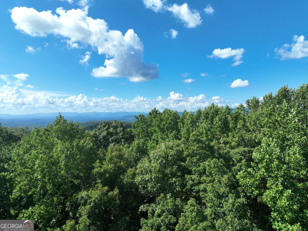 31 Highline Drive Ellijay GA 30536