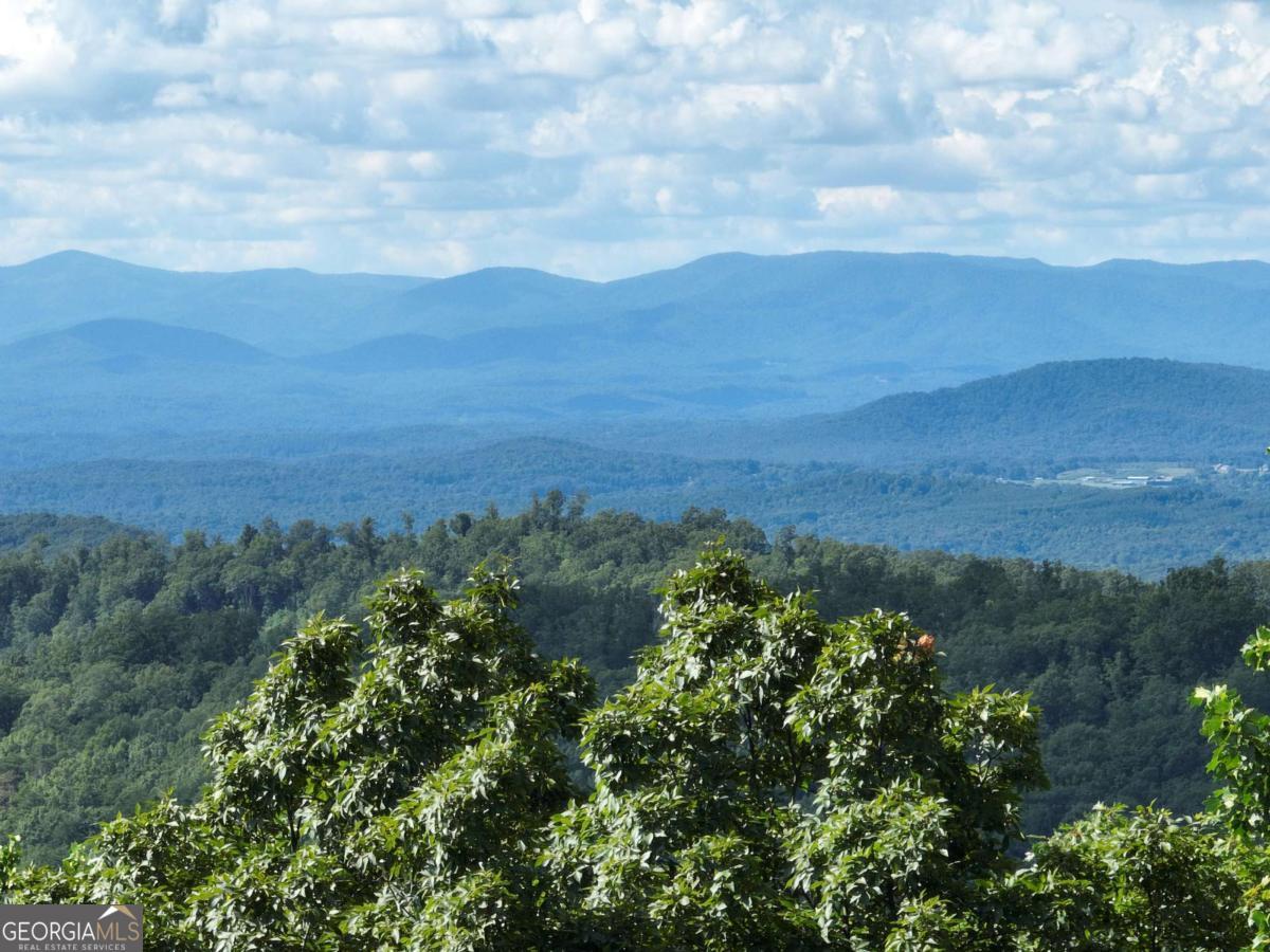 31 Highline Drive Ellijay GA 30536