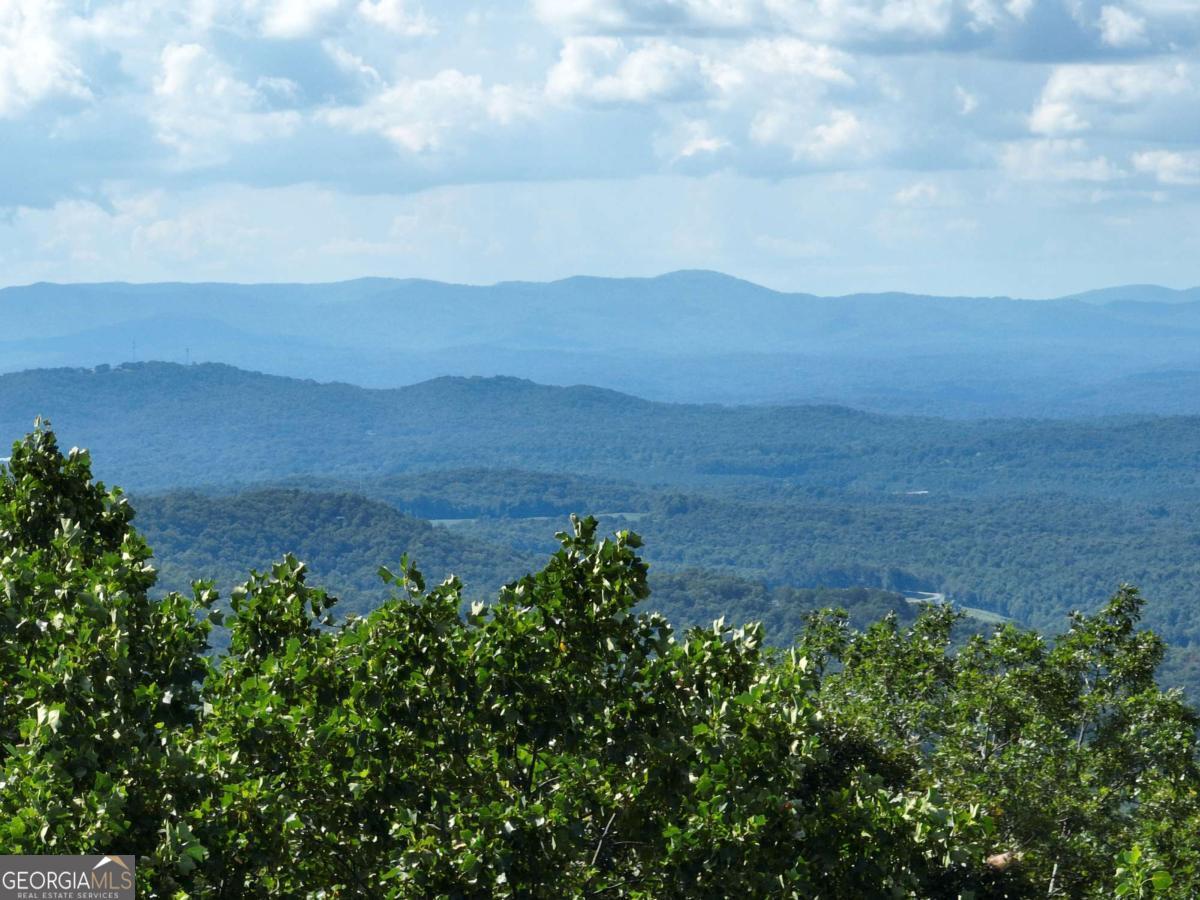 31 Highline Drive Ellijay GA 30536