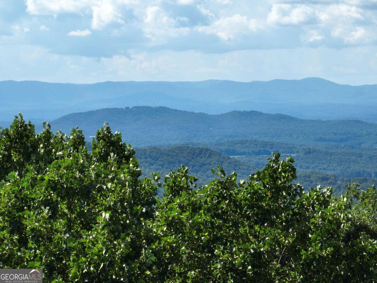 31 Highline Drive Ellijay GA 30536