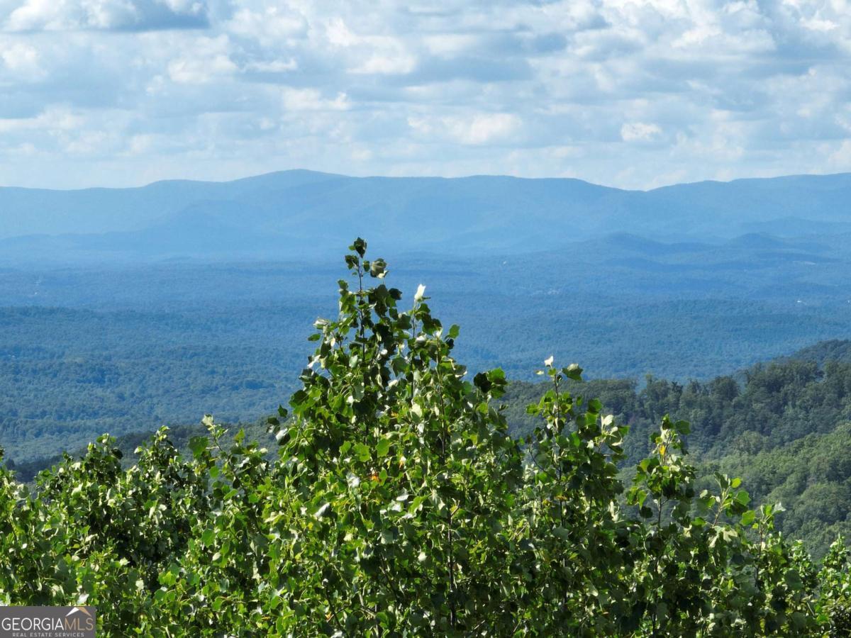 31 Highline Drive Ellijay GA 30536
