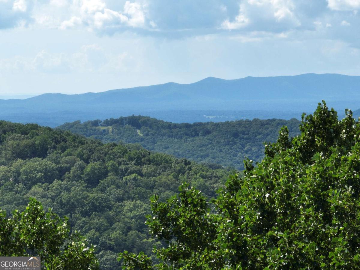 31 Highline Drive Ellijay GA 30536