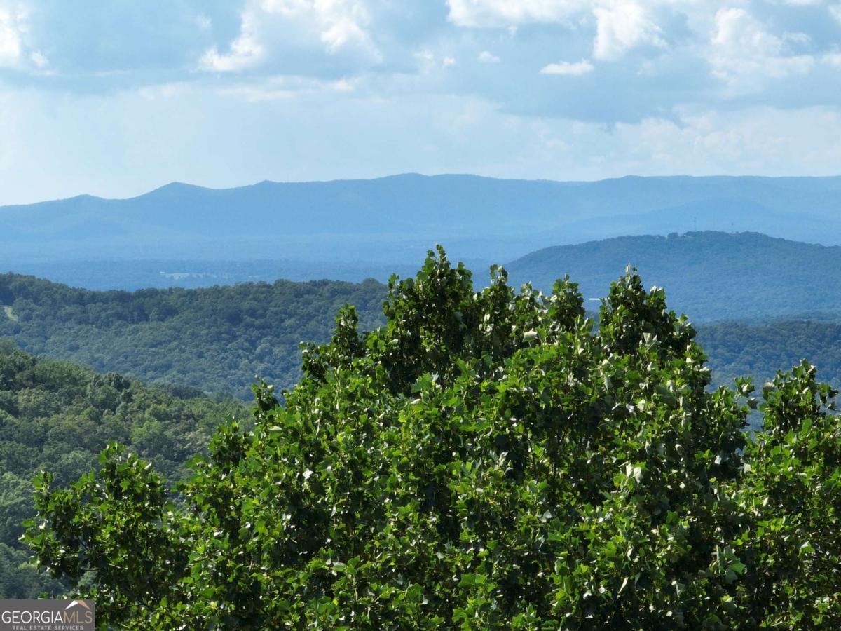 31 Highline Drive Ellijay GA 30536