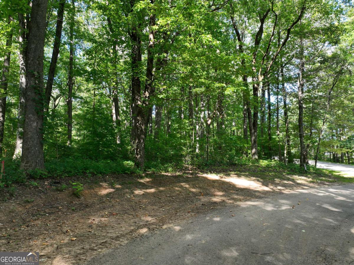 31 Highline Drive Ellijay GA 30536