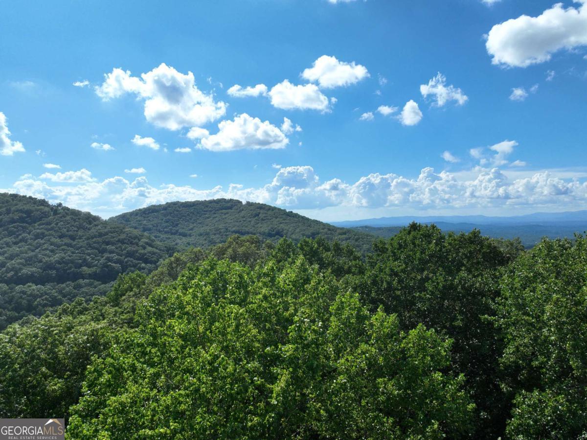 31 Highline Drive Ellijay GA 30536