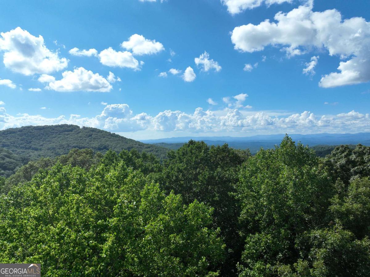 31 Highline Drive Ellijay GA 30536