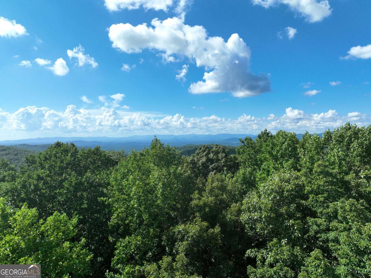 31 Highline Drive Ellijay GA 30536