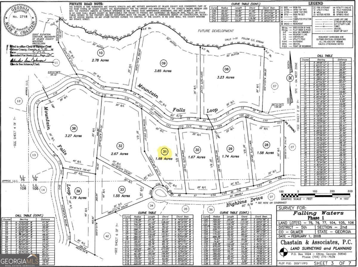 31 Highline Drive Ellijay GA 30536