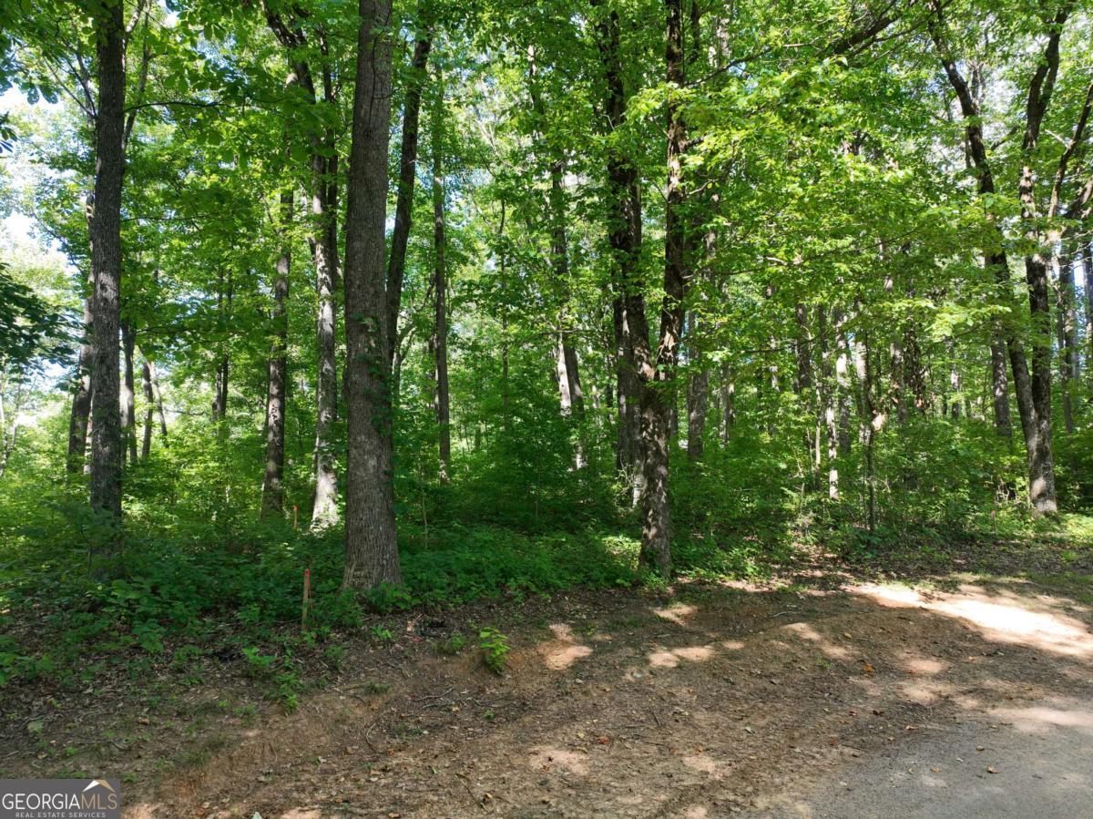 31 Highline Drive Ellijay GA 30536