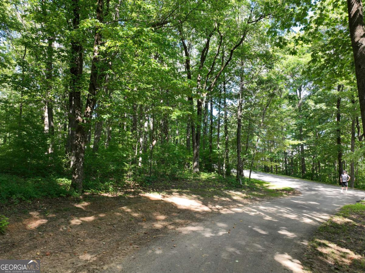 31 Highline Drive Ellijay GA 30536