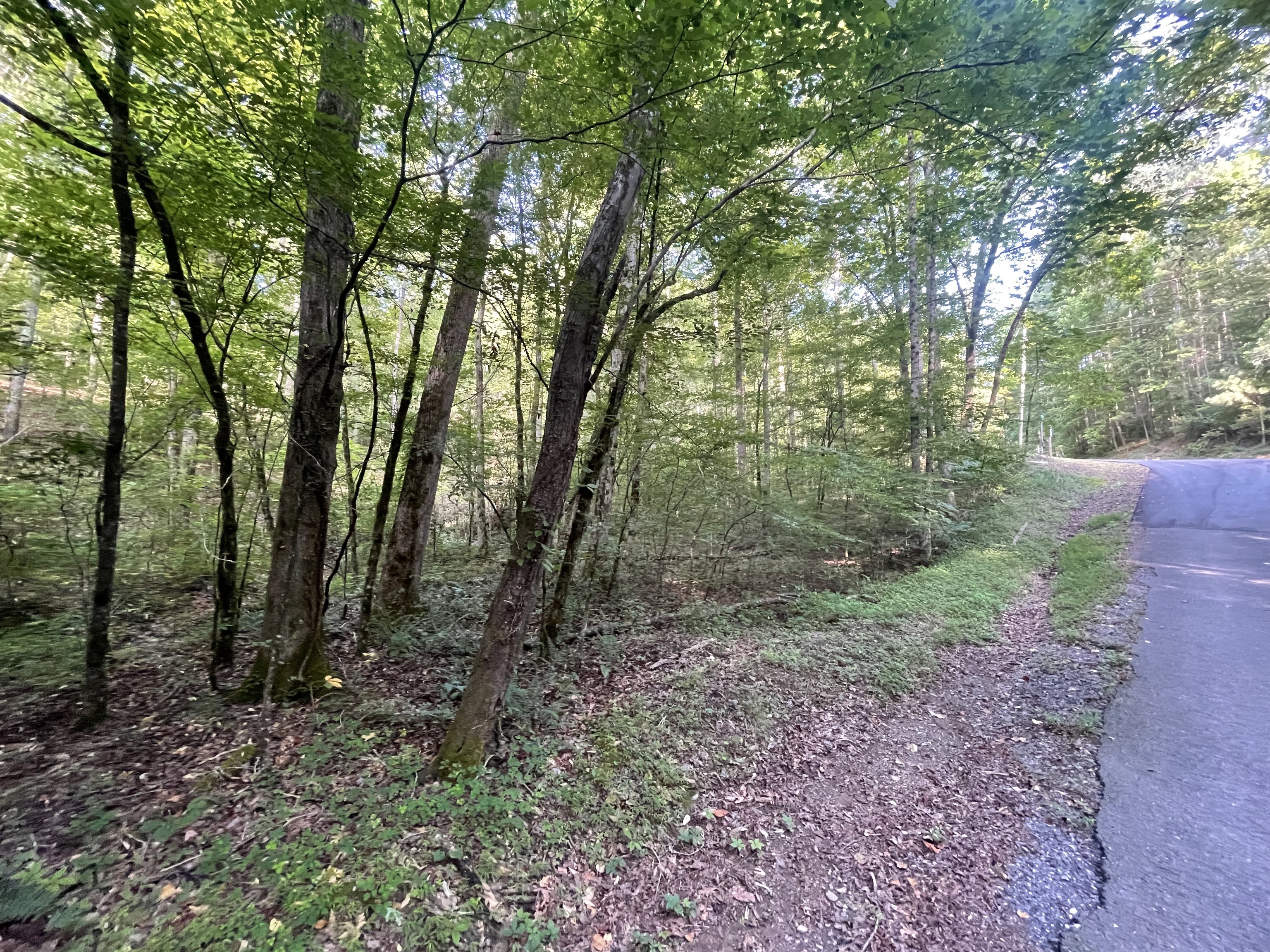730 Nettle Lane Ranger GA 30734