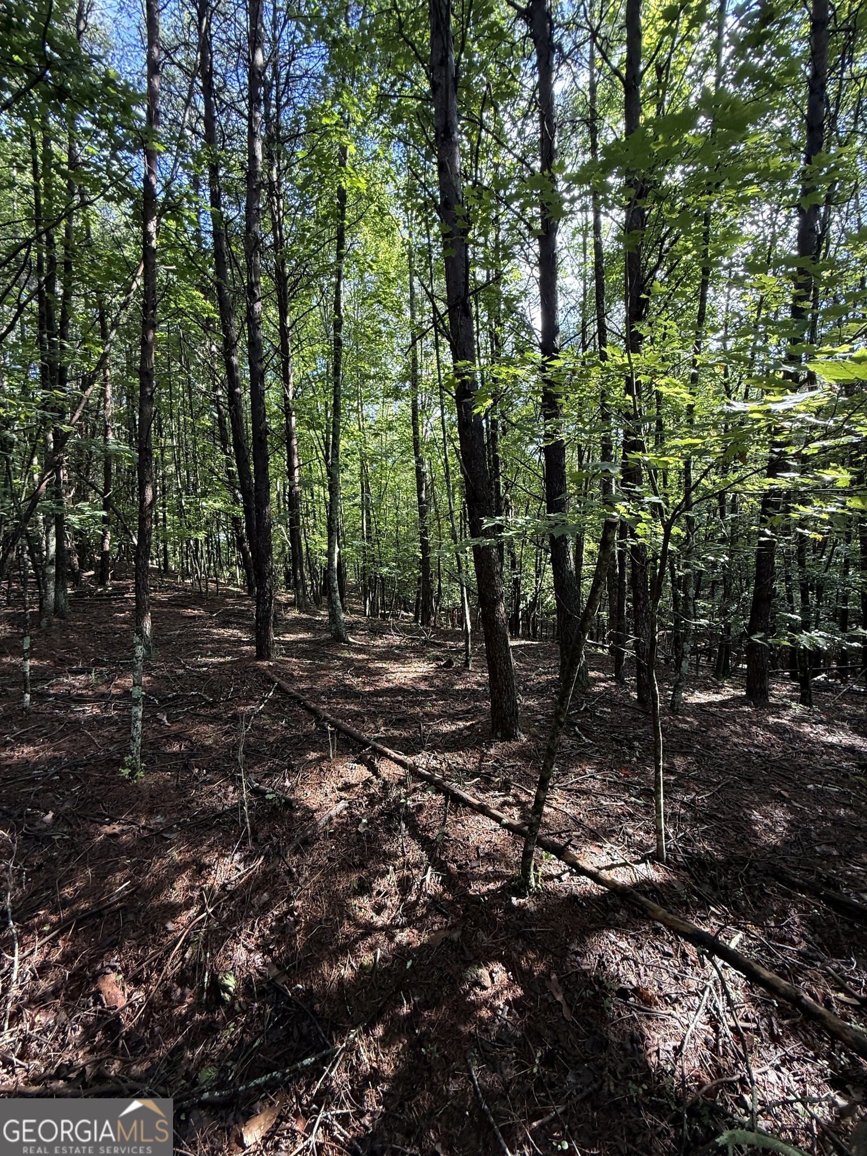 Lot 5 Marci Lane Sautee Nacoochee GA 30571