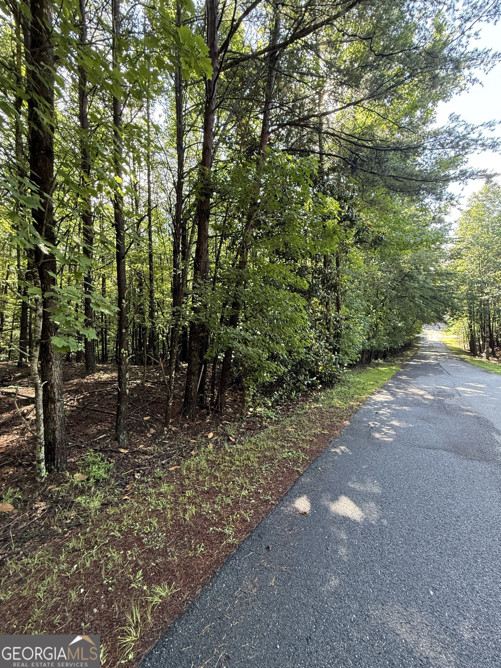 Lot 5 Marci Lane Sautee Nacoochee GA 30571