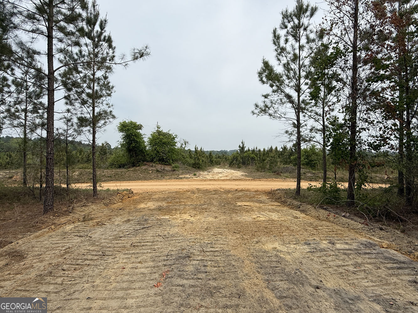 9 Cedar Grove Dublin GA 31021