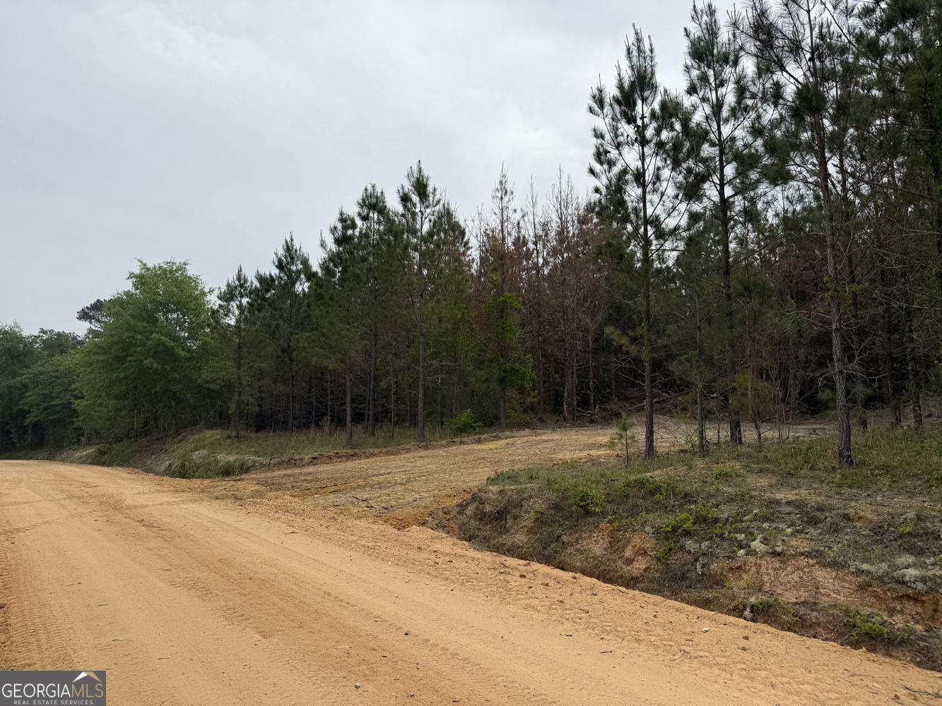 9 Cedar Grove Dublin GA 31021