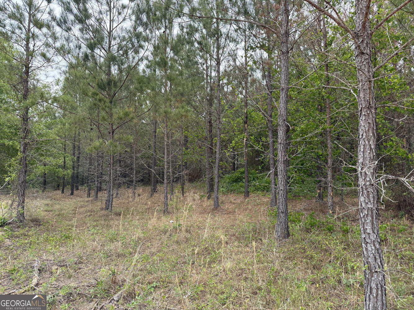 9 Cedar Grove Dublin GA 31021