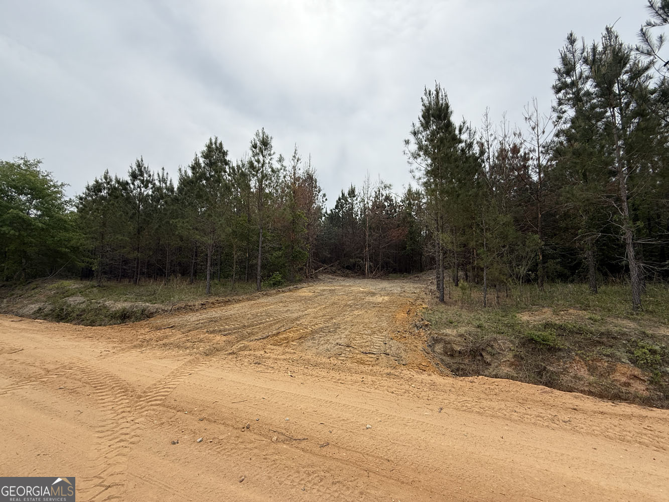 9 Cedar Grove Dublin GA 31021
