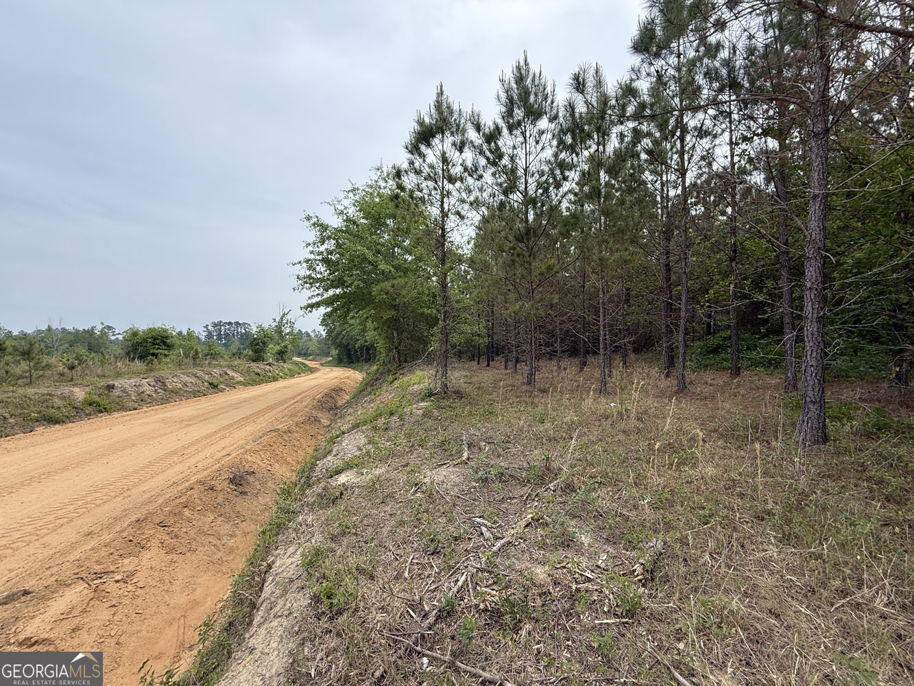 9 Cedar Grove Dublin GA 31021