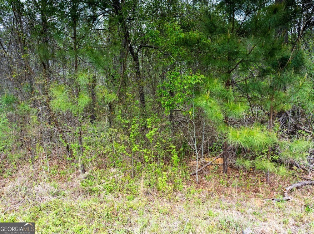 0 Morris Station Morris GA 39867