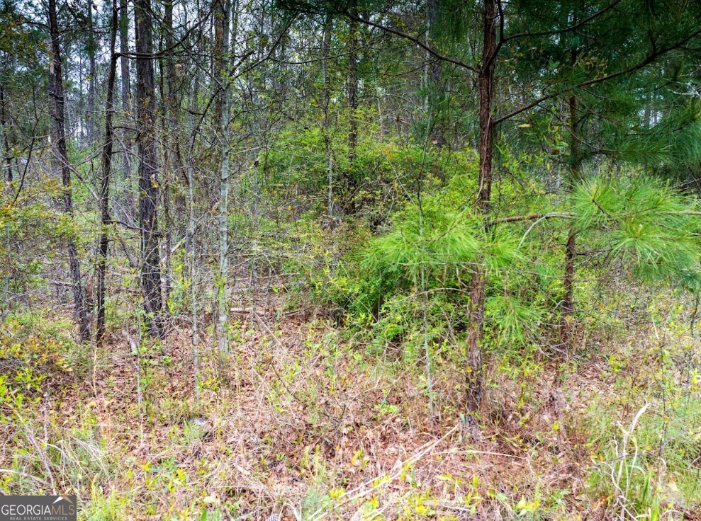 0 Morris Station Morris GA 39867