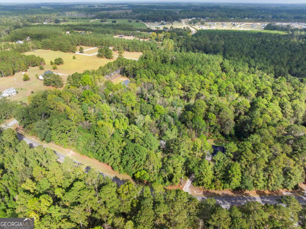 0 Plantation Pointe Drive Statesboro GA 30461