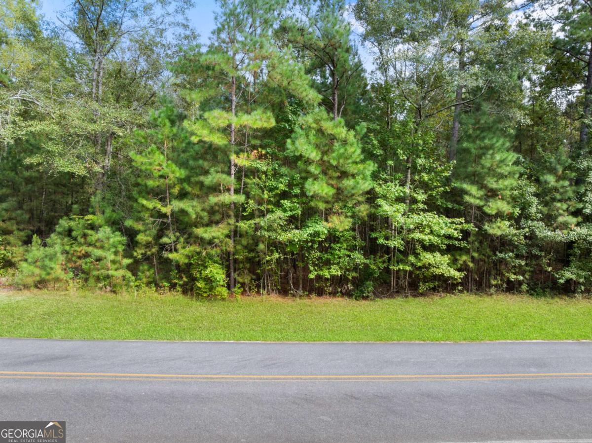0 Plantation Pointe Drive Statesboro GA 30461