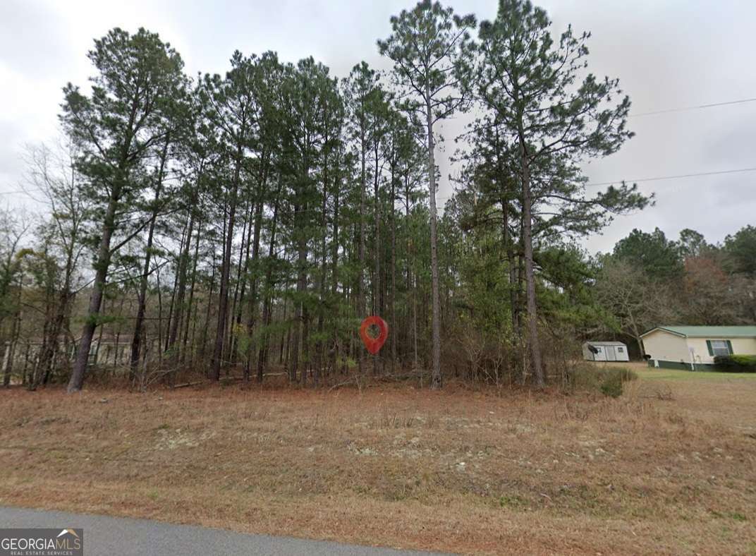 0 Pebble Hills Road Cochran GA 31014