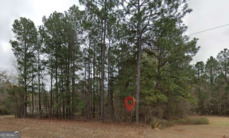 0 Pebble Hills Road Cochran GA 31014