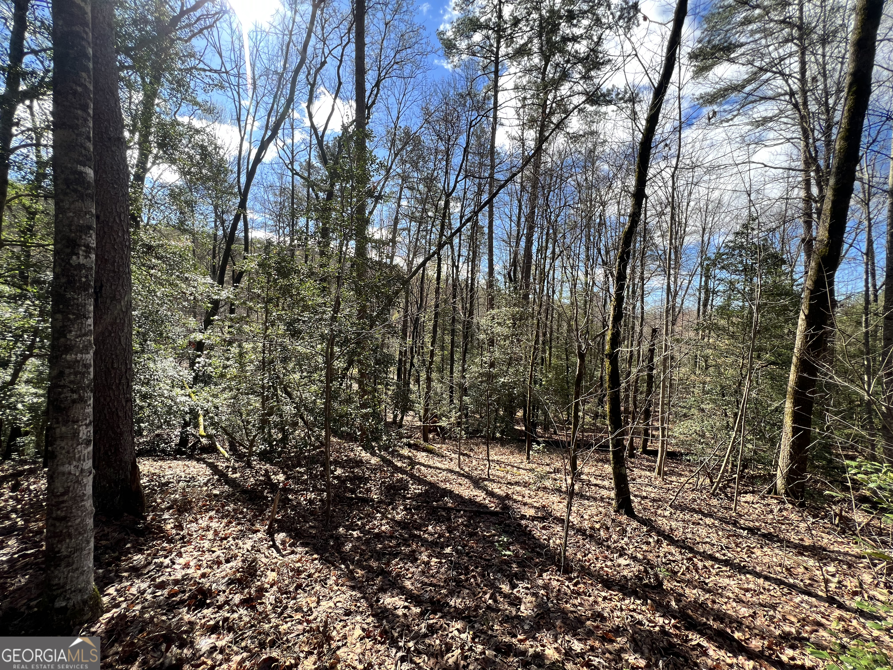 Lot 36 Heyden Ridge/ Still Road Clarkesville GA 30523