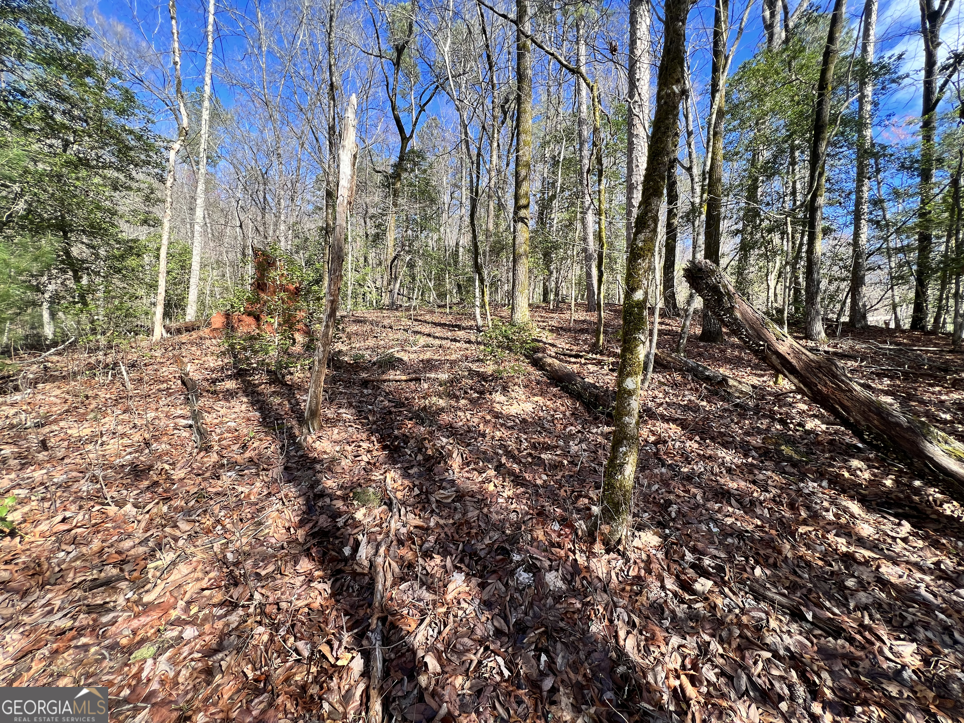 Lot 36 Heyden Ridge/ Still Road Clarkesville GA 30523
