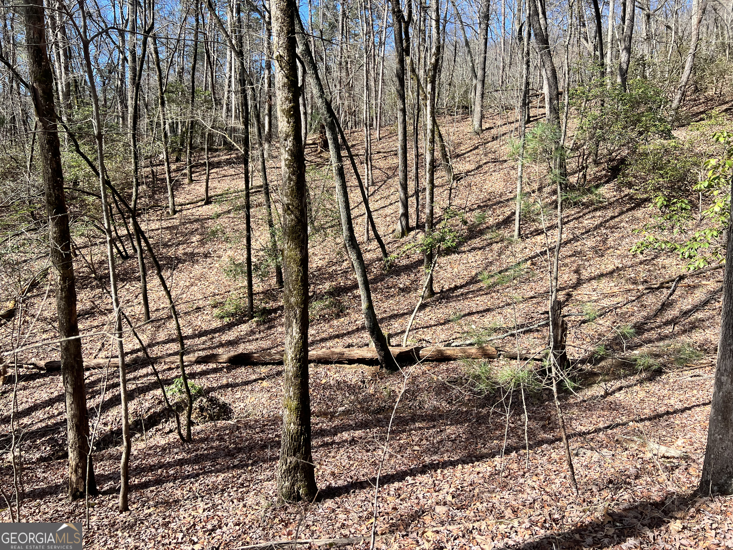 Lot 36 Heyden Ridge/ Still Road Clarkesville GA 30523