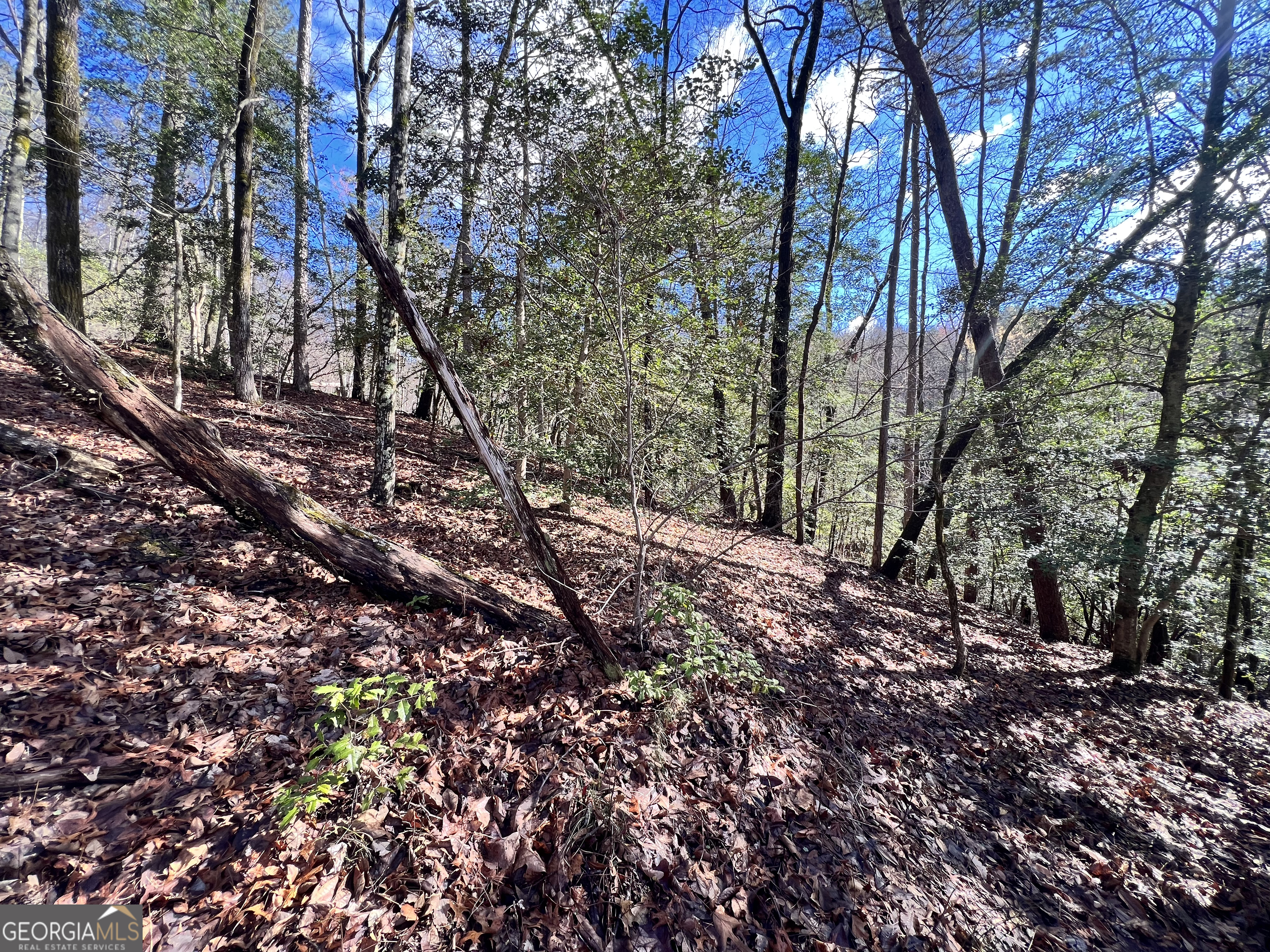 Lot 36 Heyden Ridge/ Still Road Clarkesville GA 30523