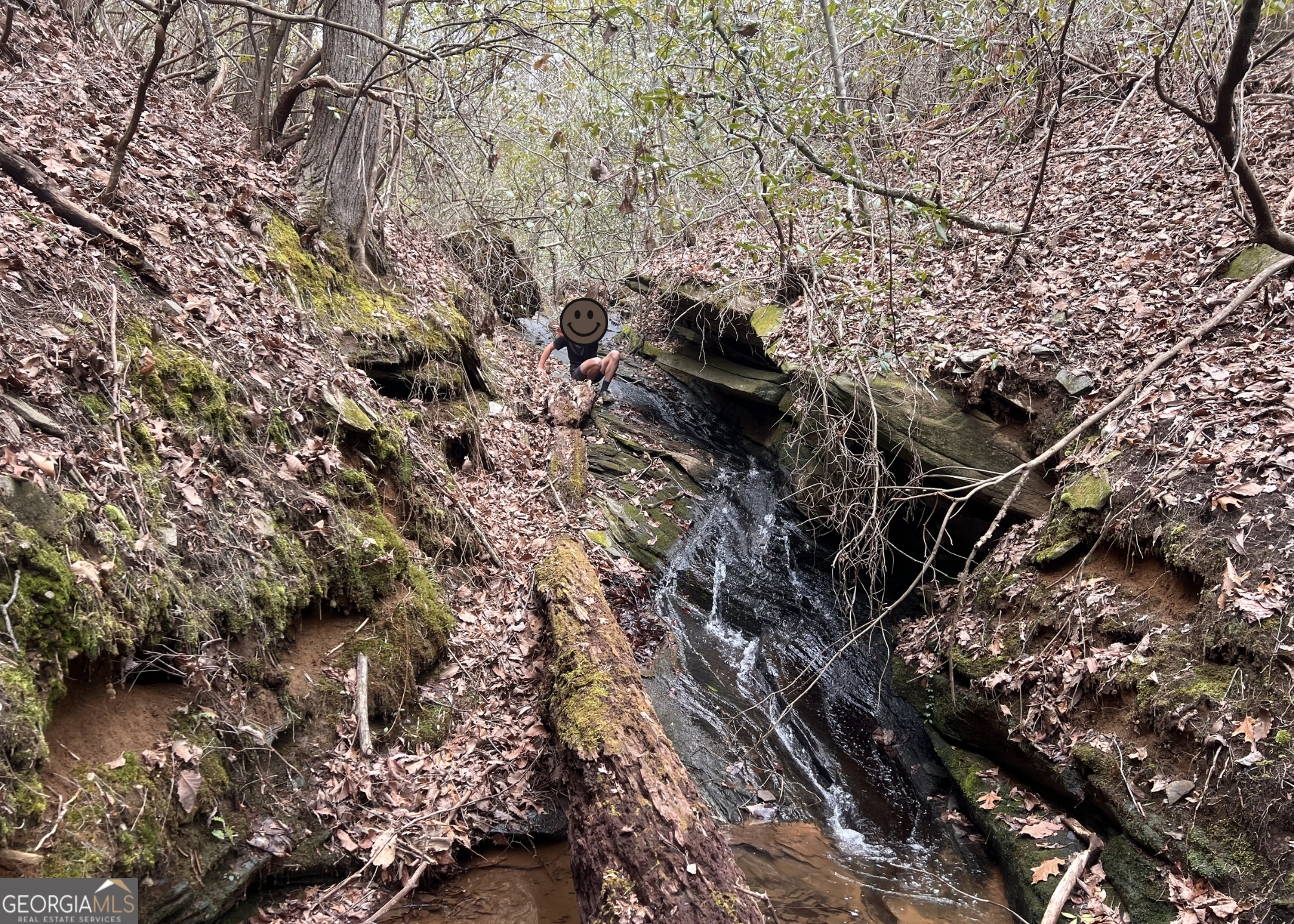 Lot 36 Heyden Ridge/ Still Road Clarkesville GA 30523