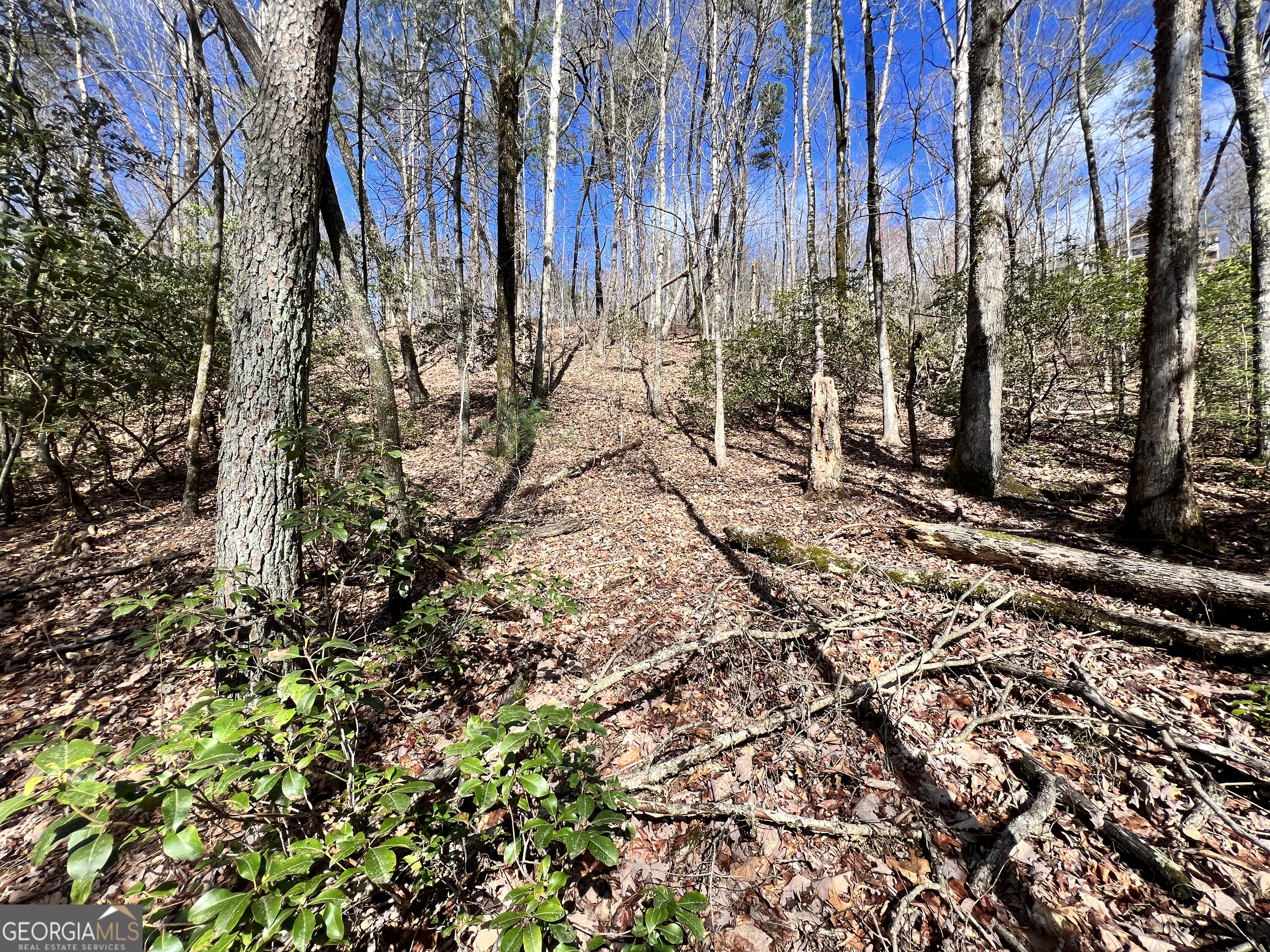 Lot 36 Heyden Ridge/ Still Road Clarkesville GA 30523