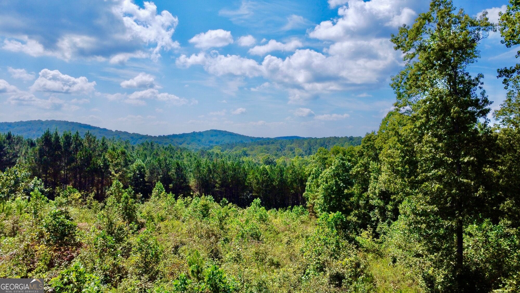271 Highgrove Drive Talking Rock GA 30175
