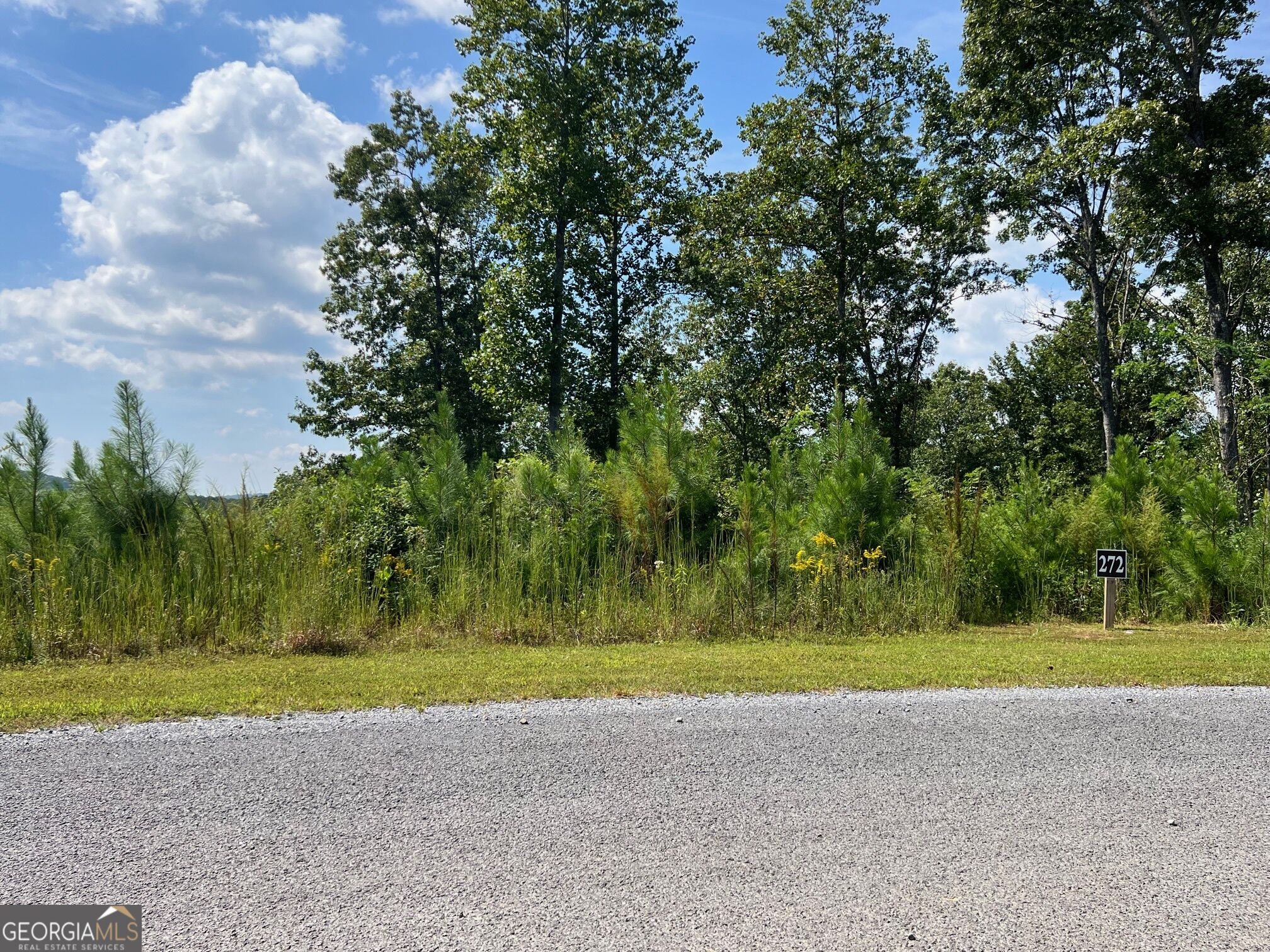 271 Highgrove Drive Talking Rock GA 30175