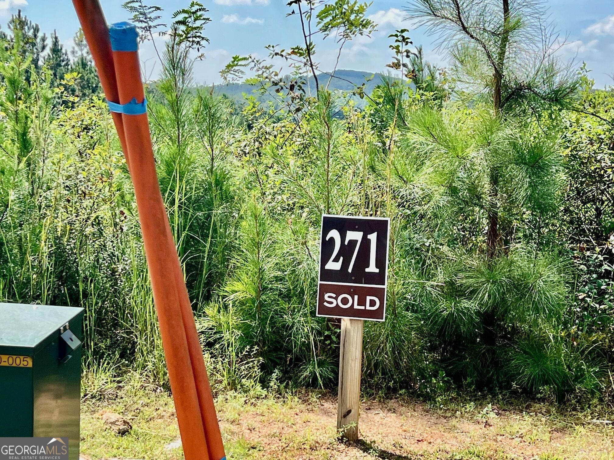 271 Highgrove Drive Talking Rock GA 30175