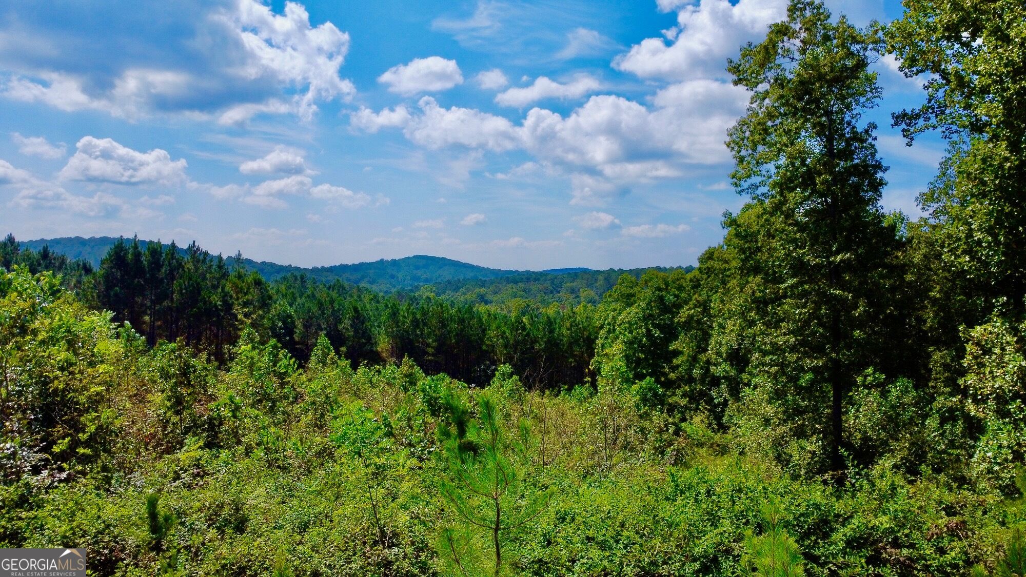 271 Highgrove Drive Talking Rock GA 30175