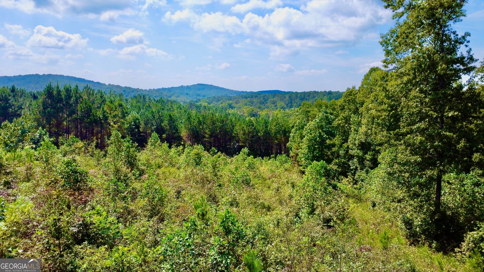 271 Highgrove Drive Talking Rock GA 30175