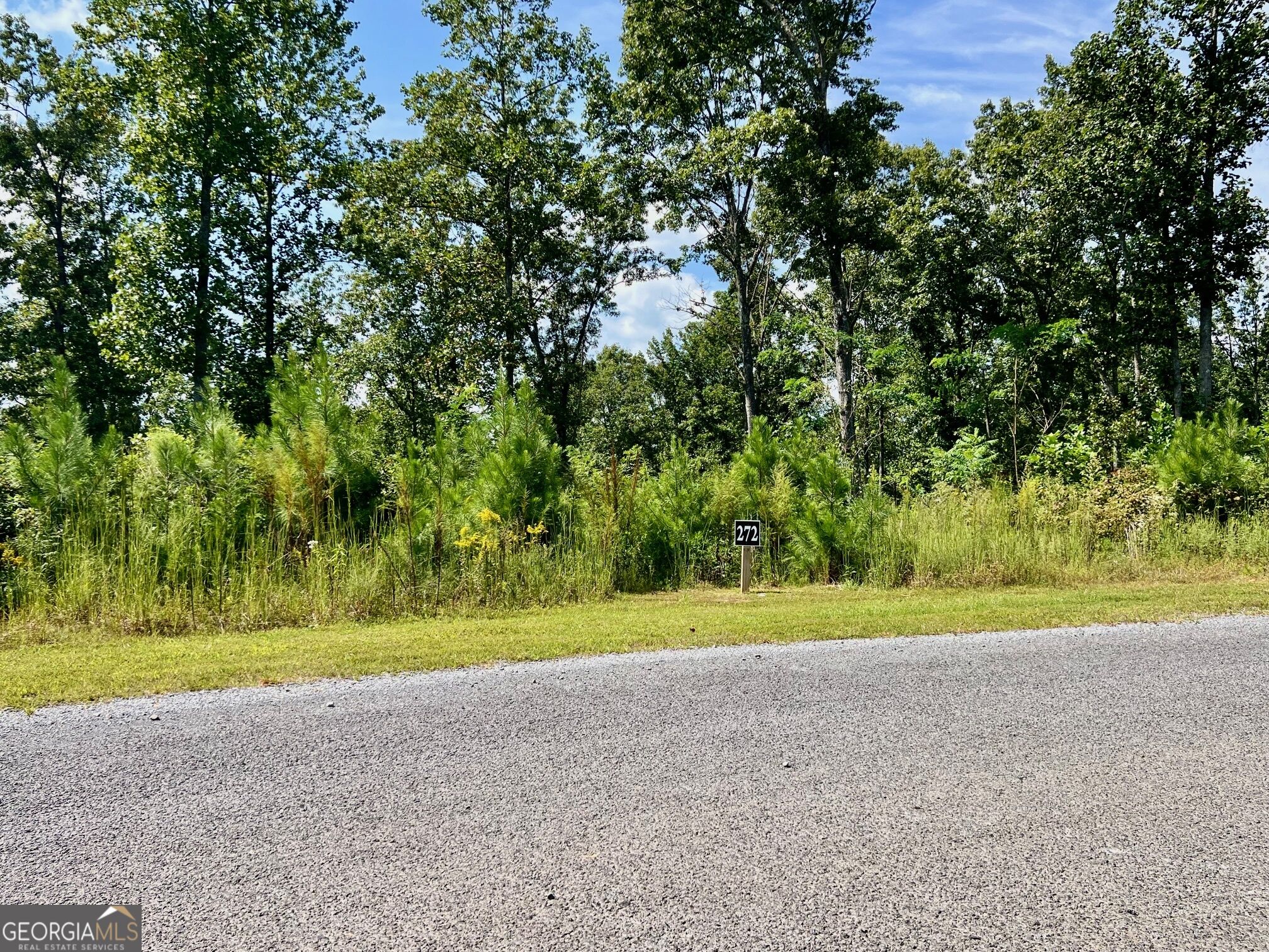 271 Highgrove Drive Talking Rock GA 30175