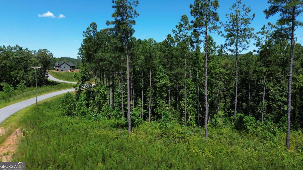 0 Vista Creek Drive Talking Rock GA 30175