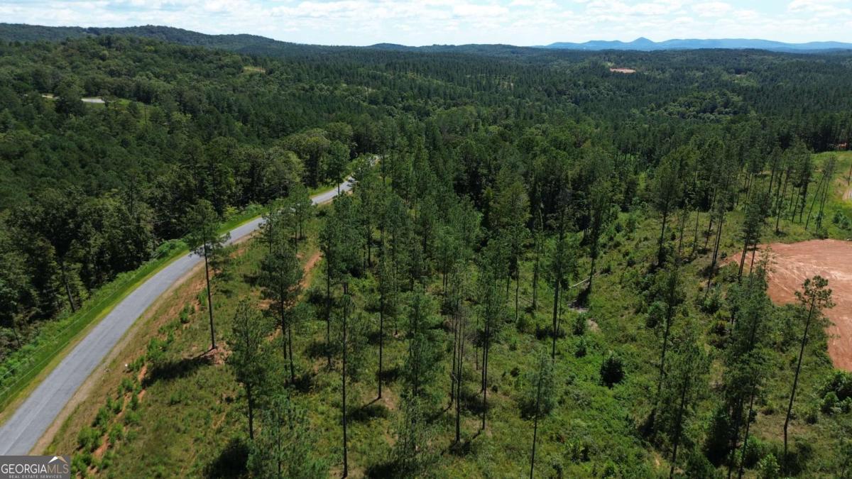 0 Vista Creek Drive Talking Rock GA 30175