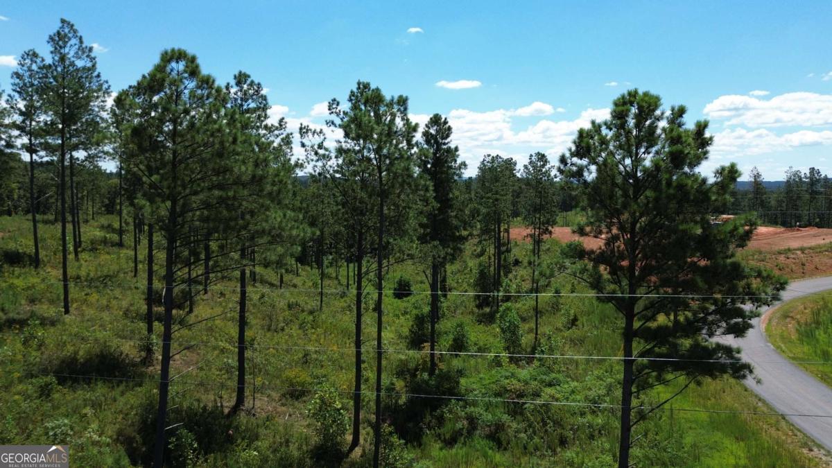 0 Vista Creek Drive Talking Rock GA 30175