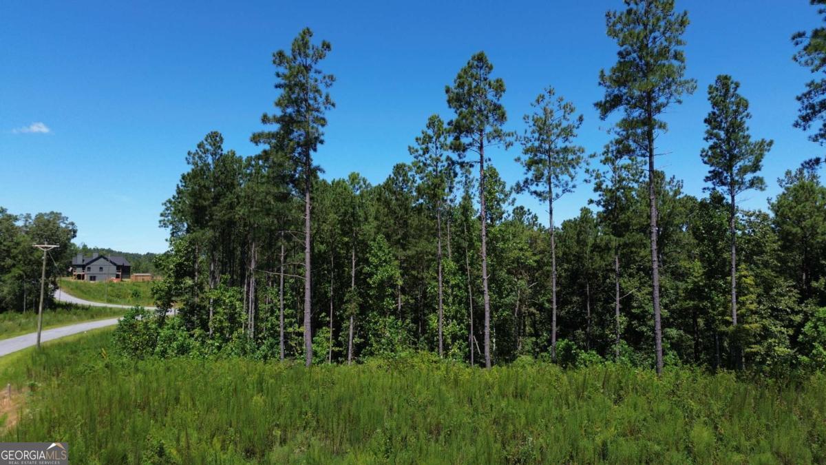 0 Vista Creek Drive Talking Rock GA 30175