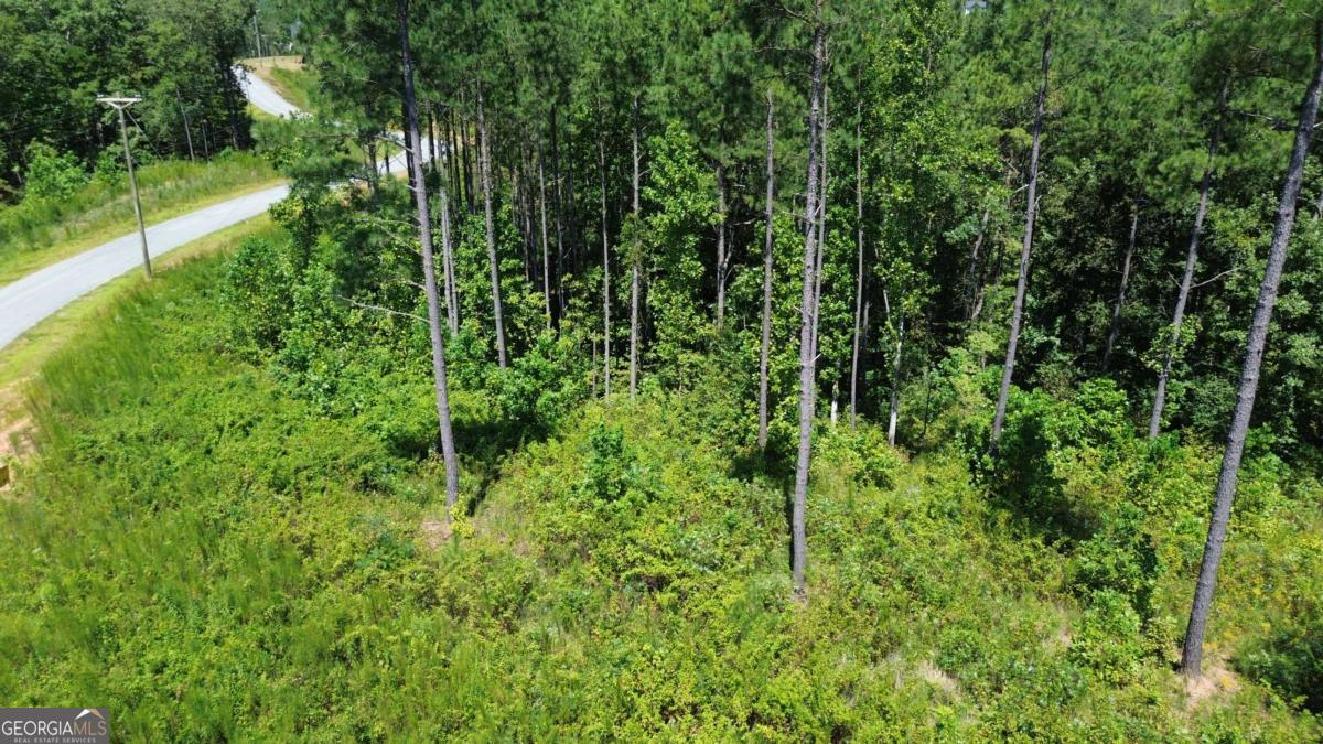 0 Vista Creek Drive Talking Rock GA 30175