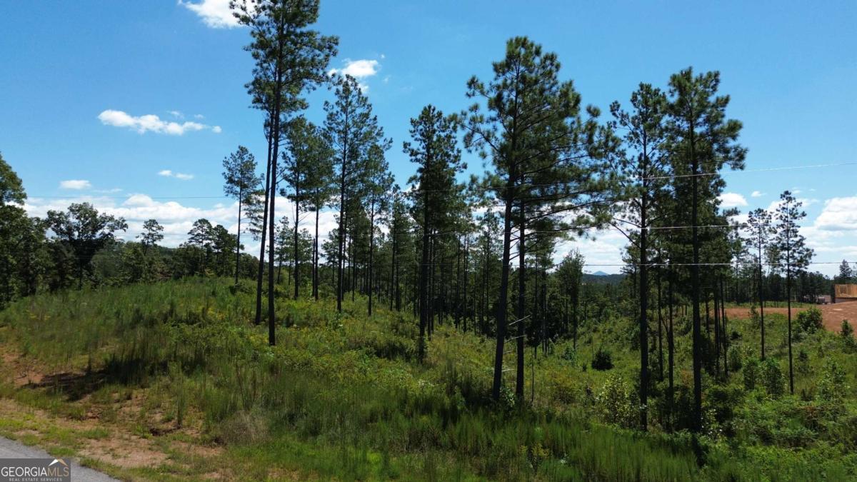 0 Vista Creek Drive Talking Rock GA 30175
