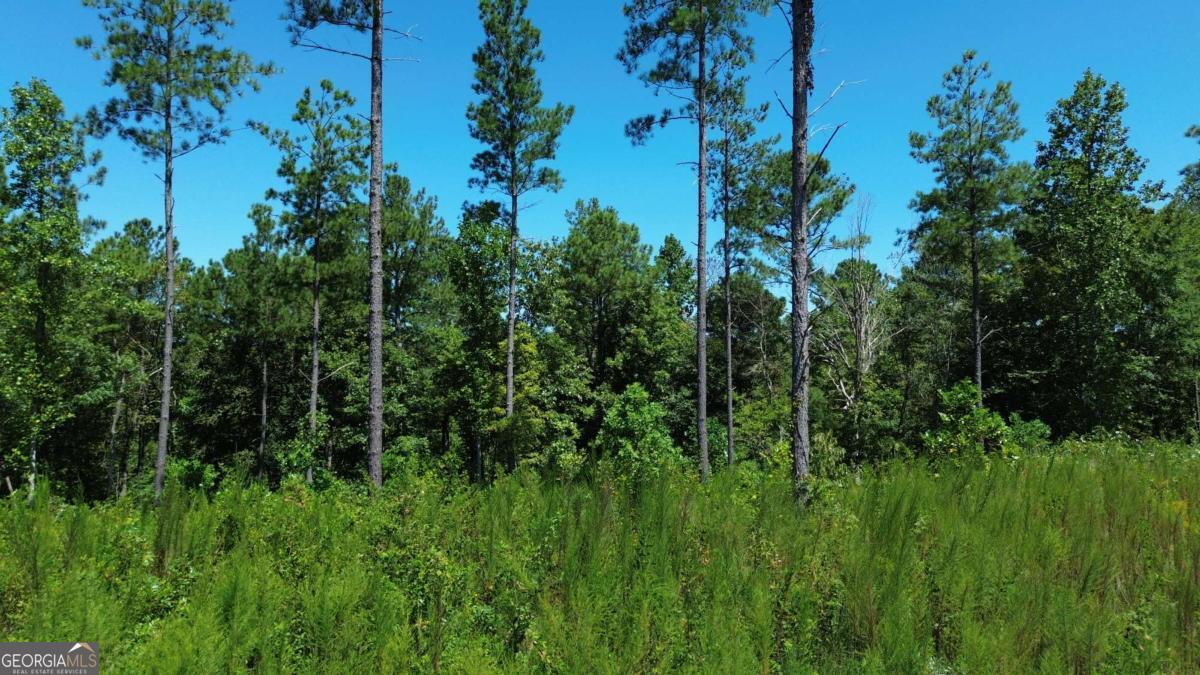 0 Vista Creek Drive Talking Rock GA 30175