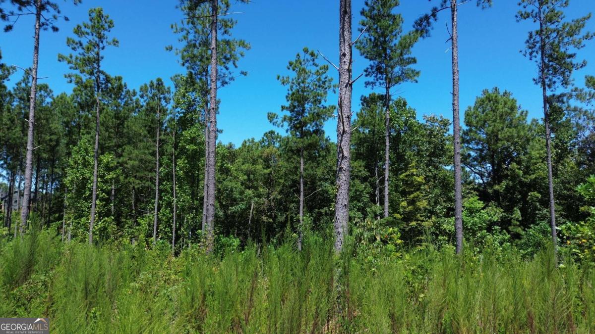 0 Vista Creek Drive Talking Rock GA 30175