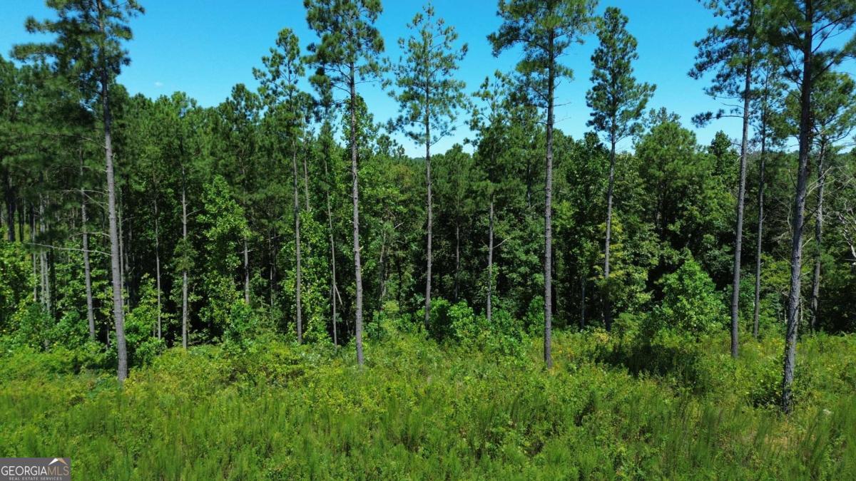 0 Vista Creek Drive Talking Rock GA 30175