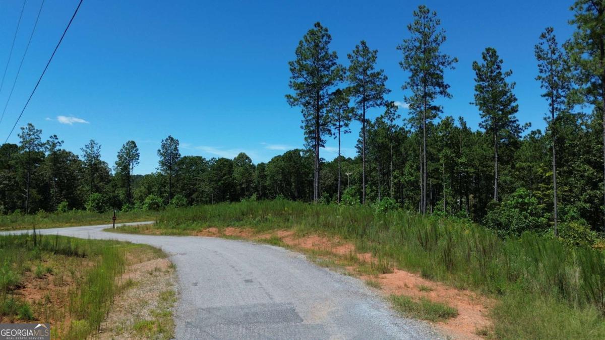 0 Vista Creek Drive Talking Rock GA 30175